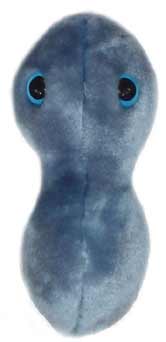 Giant Microbes The Clap-Gonorrhea (Neisseria Gonorrhoeae)  5"-7" plush