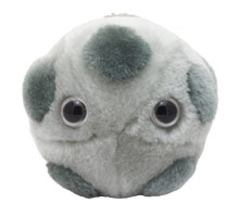 Giant Microbes  HPV   5"-7" Plush