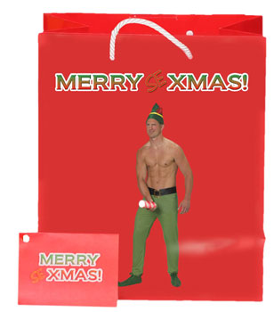 Merry Sexmas Male Elf Gift bag